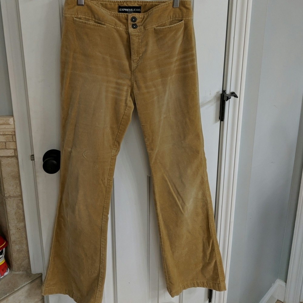 Express suedish pants